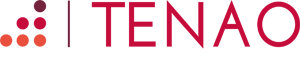 tenao businesss consulting